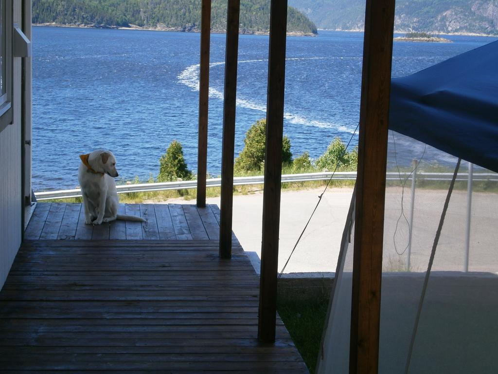 Apartement Mirador Du Fjord LʼAnse-Saint-Jean Dış mekan fotoğraf